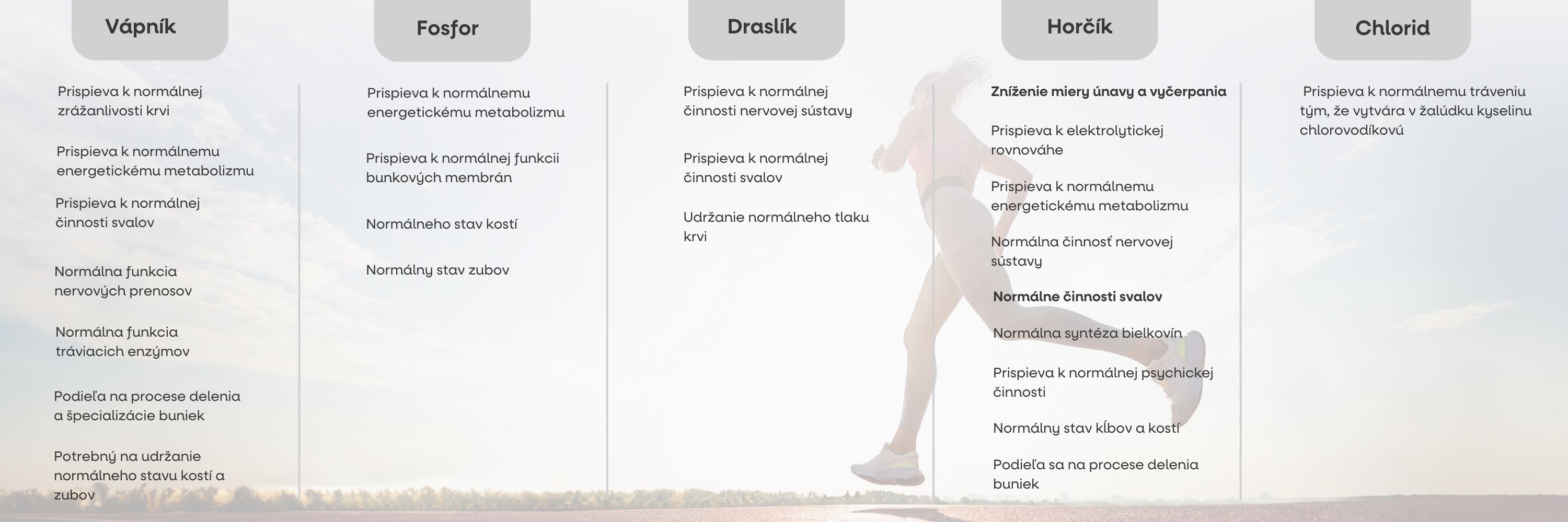 (Slovenčina) (11)_1